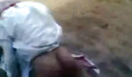 Gli asiatici viaggiano amatoriale porn tube professionalmente.