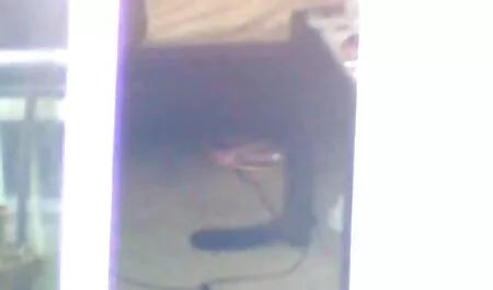 Una vecchia che risale un giovane uomo che è video sex amatoriale colpevole di piaceri sessuali