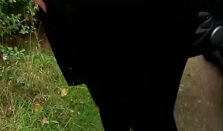 Due bei uomini gay cazzo sex mature amatoriali in natura.