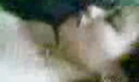 Due uomini incontrano Cinque Capre ad una festa notturna. amatoriale sex video