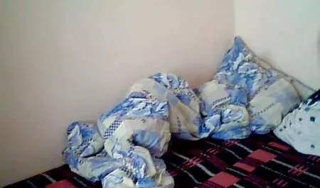 Sorella ha anale sesso amatoriali sexi mentre guardando hentai.